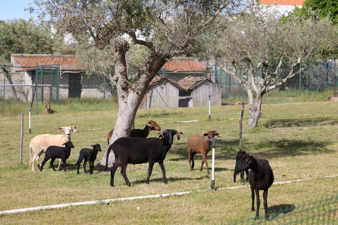 Quinta Dos Patos Villa Pinhanços Exteriör bild